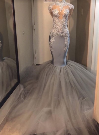 2025 Silver Long Sleeve Mermaid/Trumpet Lace and Tulle Prom Dresses